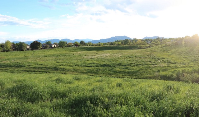 Marshall Fire -Extreme Winds and Atmospheric Gravity Waves