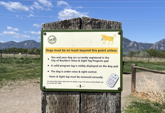 Dry Creek Trail, Boulder, Colorado (May 2024)