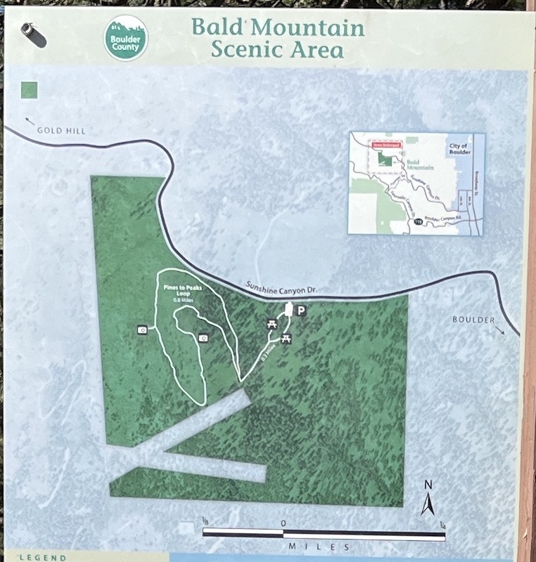 Pines to Peaks Loop, Bald Mountain, Boulder (July 2025)