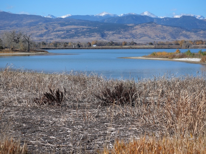 McIntosh Lake , Longmont, Colorado