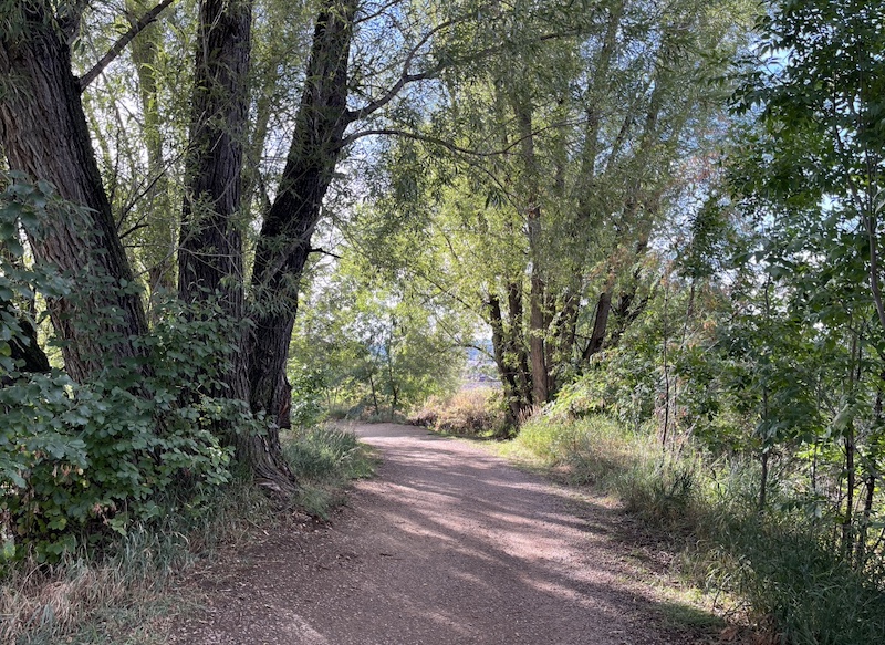 Cottonwood Trail, Boulder (September 2024)
