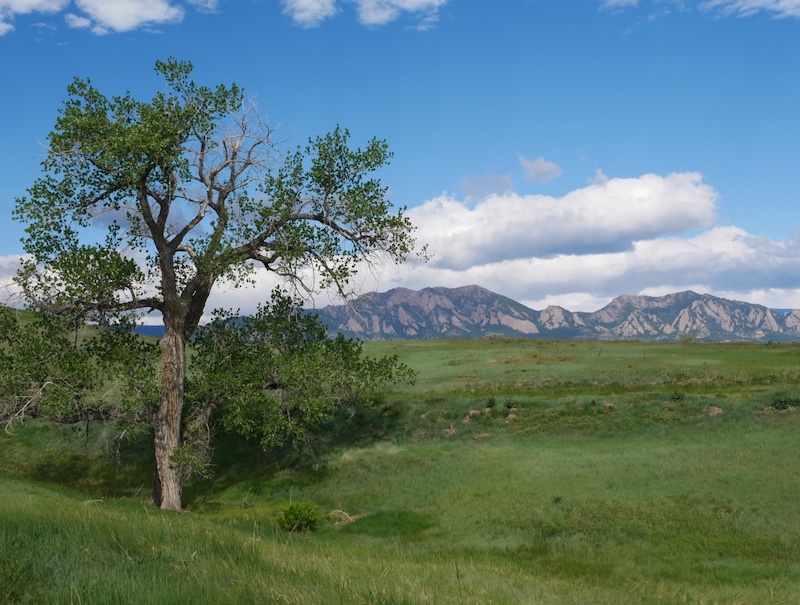 Davidson Mesa Trail, Louisville (May 2024)