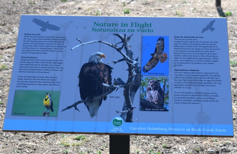 Cradleboard Trail / Stearns Lake Trailhead, Broomfield (March 2025)