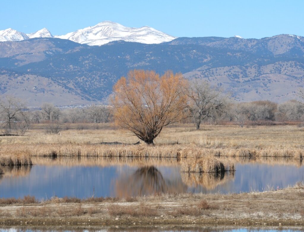 East Boulder Trail, Teller Farm North, Boulder (March 2025)