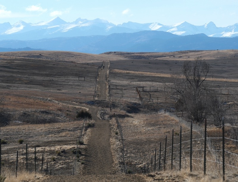 East Boulder Trail, Teller Farm North Trailhead, Boulder (February 2025)