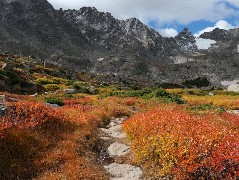 Autumn Alpine Trail with Red and Yellow Foliage, Pawnee Pass near Lake Isabelle, Indian Peaks Wilderness, Colorado (September 2025)