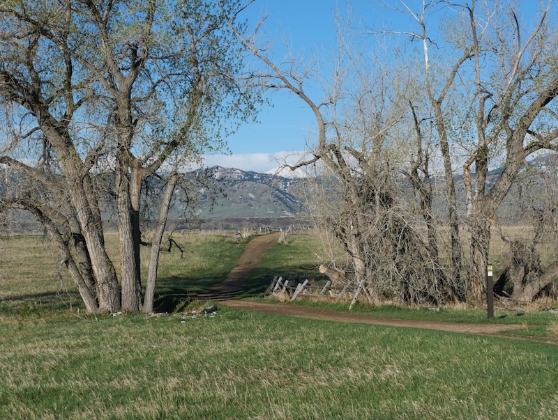 Coot Lake, Boulder, Colorado (April 2025)