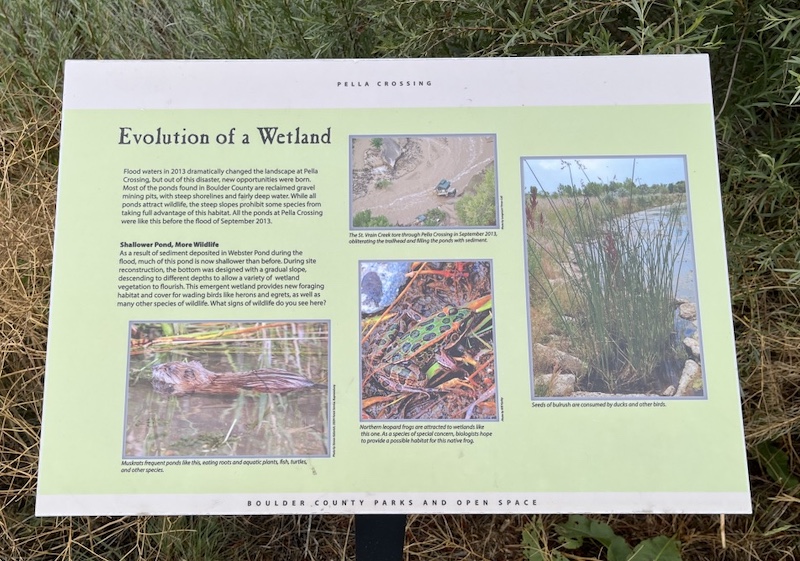 Pella Crossing, Longmont, Colorado (July 2025)