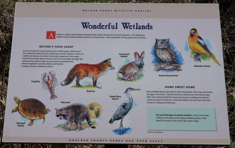 Sawhill Ponds Trail, Bouldfer (May 2024)