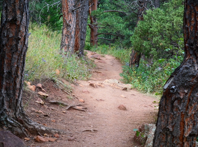 South Mesa Trailhead, Boulder, Colorado (September 2025)