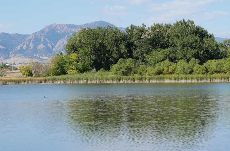 East Boulder Trail, Teller Farm South, Boulder (September 2024)