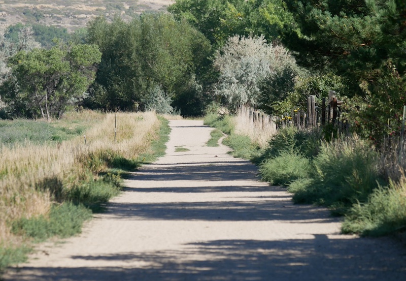 East Boulder Trail, Teller Farm South, Boulder (September 2024)