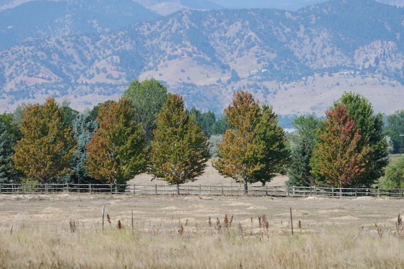 East Boulder Trail, Teller Farm South, Boulder (September 2024)